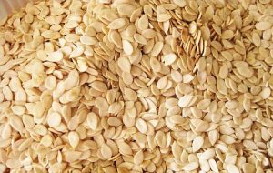 Egusi Seed